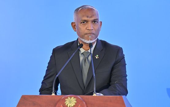 Raajje tharahgeegai UNDP ge dhauru bodu: Raees