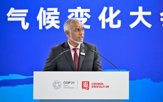 Low-carbon development is no longer a choice: President