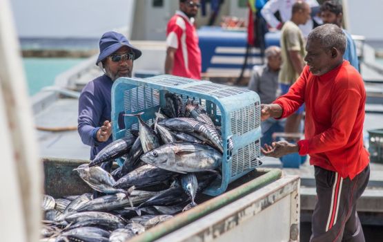 Sarukaarah 52 hafthaa: Masveri kamuge sinaa athu thafaathu misraabakah