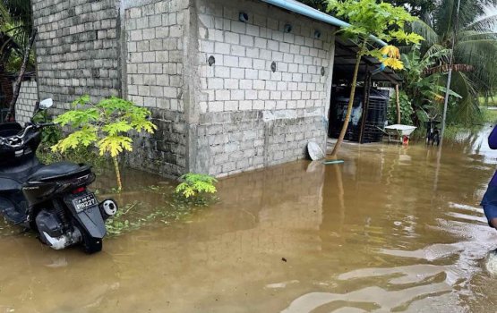 110 houses damaged in rainfall this year