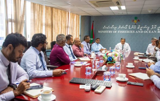 Maldiviange wide body aircraft medhuverikoh China ah mas export kuran mashavaraa koffi 