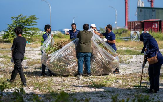 Roadha ah airport saafu kuran MACL ge gina muvazzafun baiverivehje