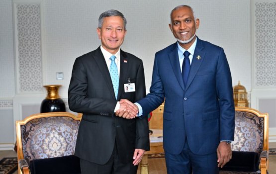 President expresses hope for greater collaboration with Singapore
