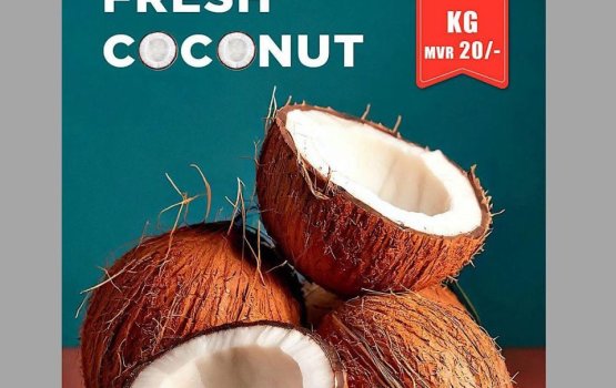 STO selling coconut at MVR 20 per kg