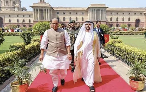 Rajnath highlights immense priority in India-UAE partnership