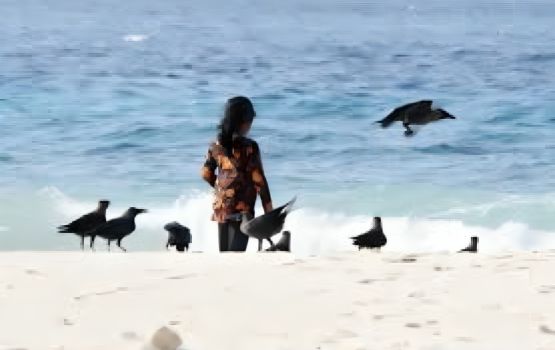 Vaalaai kaalhuge adhadhu dhenegane, e thakethi balahattan ehmme rangalhu gothakee kobaithw balanee