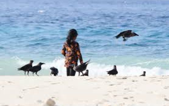 Vaalaai kaalhuge adhadhu dhenegane, e thakethi balahattan ehmme rangalhu gothakee kobaithw balanee