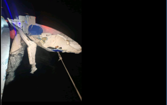 Launch crashes with a dinghy injuring 4