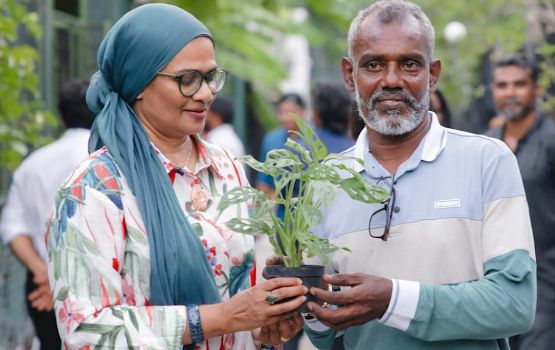 Urban farming ge dhevana mashrooge dhashun dhandu hehdhumah 28 slot dhookohffi 