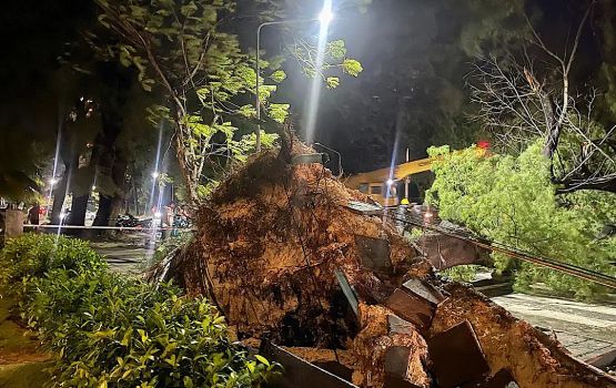 Gadha vayaaeku Hulhumale' gai huri gaheh vetti gellun vehjje 