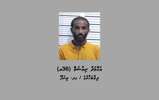 Immigration ge gudhanun vakkan kuri kamuge thu'humathugai meehaku hayyaru koh 15 dhuvahah bandhu koffi