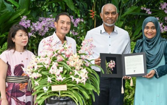 Raees ge dhekanbalunge namah khaassa kuri Singapore Orchid