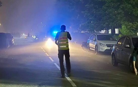 Ansis gudhanugai roavun: Dhun boavefaivaathee e sarahahdhaa kairi nuvumah ilthimaas koffi 