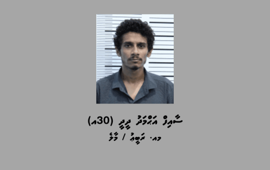 Scamge 12 massala eh gai himeney meehaku aanmunge eheetherikamaa eku hoadhai hayyarukohfi