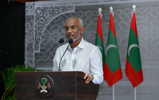 International fenvarah Maafaru airport tharahgeekoh, hotel eh alhanee