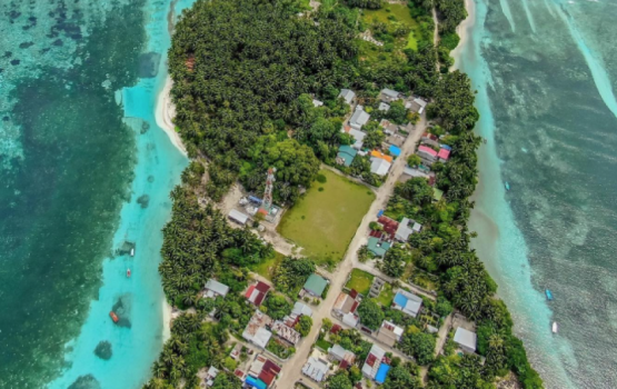 Maavaru Stabbing: Suspect arrested in fatal attack