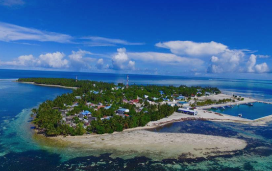 Maavashu gai valhin hamalaa dhee zahamkolli meehaku maru vejje