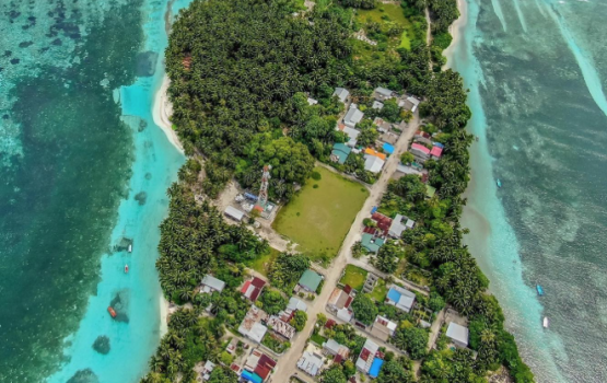 Maavashugai valhin hamalaa dhin meehaa hayyaru koffi 