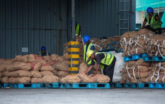 Onion Shortage: MPL clears more than 4,000 sacks