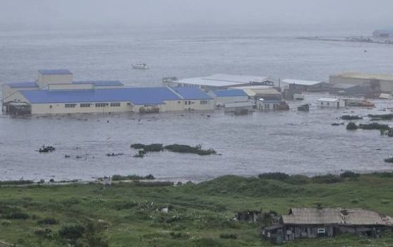 Pacific kandugai Tsunami eh, Japan ah bodu raalhu araifi