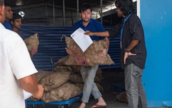 Onion Shortage: STO launches onion stock