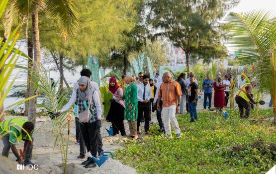 Rajjeyge minivan kamah 60 aharu furumaa gulhigen Hulhumale' gai 60 ruh indhaifi 