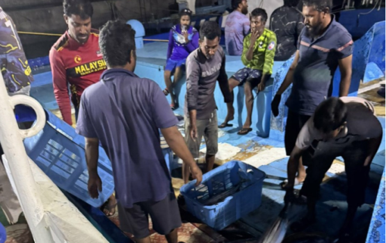 MIFCO in Fuvahmula City bandharun mass gannan fashaifi