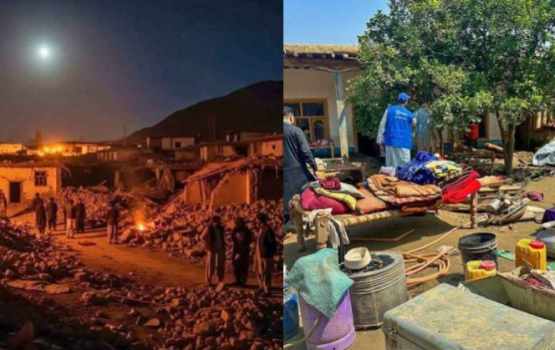 Afghanistan ah ai baaru gadha bin helumeh gai mihaathanah 800 ah vure gina meehun maruve bodethi gellun thakeh!