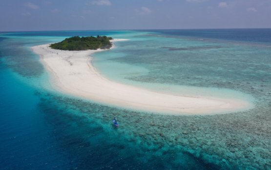Hanifaru Bay: Govt to stop reclamation project amid concerns
