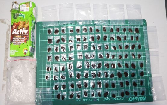 Kaashidhoogai masthuvaathaketheege bodu operation eh, foruvaafai huri drugs thah fenunee e rashu valutherein 