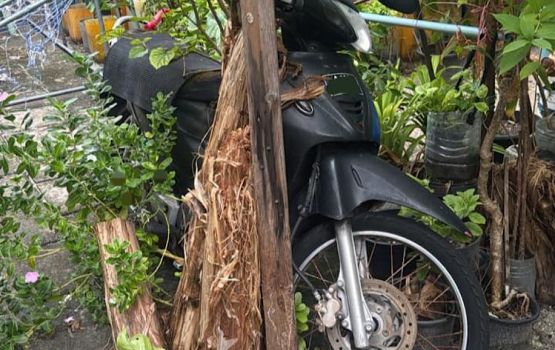 Hulhumale' gai beynun nukoh gina dhuvas vefaivaa 716 ulhandhegge mauloomaath ekkoffi 