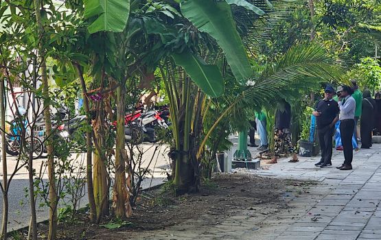 Hiyfaseyha Hulhumale': Hedge thakugai hedhifai huri biya gasthah nagai, parkuthakugai indhanee Hiyfaseyha Hulhumale': Hedge thakugai hedhifai huri biya gasthah nagai, parkuthakugai indhanee