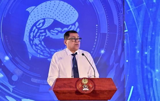 Passport hadhan dhiyun nimumee, mihaaru mulhin online