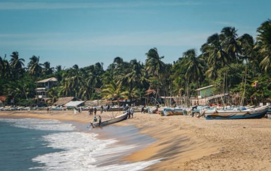 Lanka ge Arugam Bay ah terrorist hamala eh dheefaane kamuge inzaaraa eku samaalu vumah ilthimaas kohffi