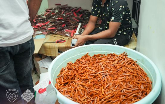 Saafuthaahiru kameh nethi murumuraai kudhi gulha thayyaru kuramundhiya bidheyseen thakeh hayyarukoffi 