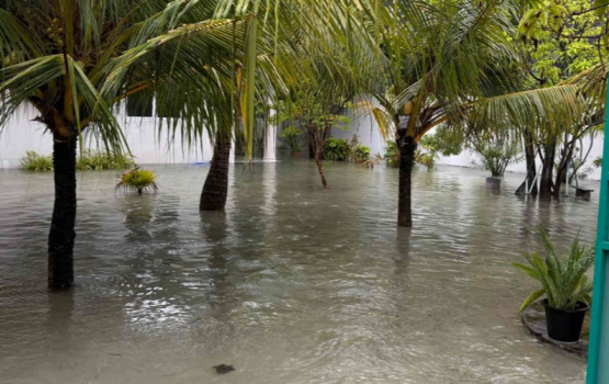 Gdh.Thinadhoo ah boakoh vaarey vehi, fenboduve eki varuge gellun vejje