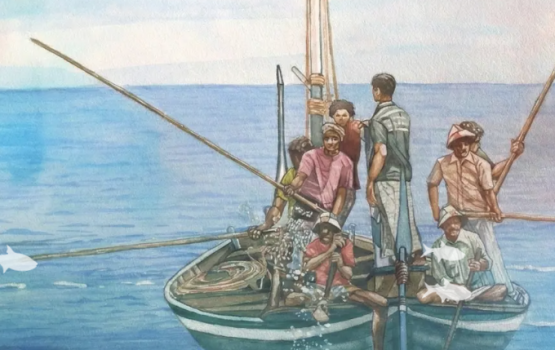 BML in masverinna haassa 