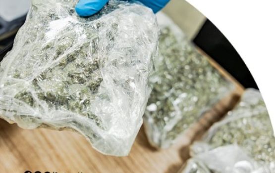 Raaje ethere kuran ulhunu 3 kg ge cannabis faiy athulaigenfi 