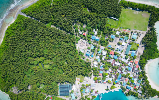 TH.Vandhoo ah masthuvaa thakethi ethere kuran ulhunu kamuge thuhumathugai fuluhaku hayyaru kohffi