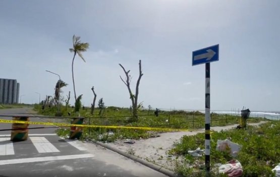 Juvenile defendant faces lengh