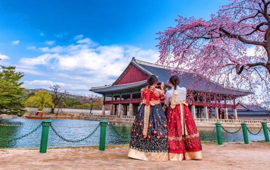 Chuttee ah dhathureh raavaneetha? Zuvaanunge medhugai maguboolu vamun anna dhekunu Korea hiyaaru kuramaa