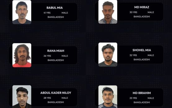 Filaigen ulhey 6 bidheyseen hoadhanee 