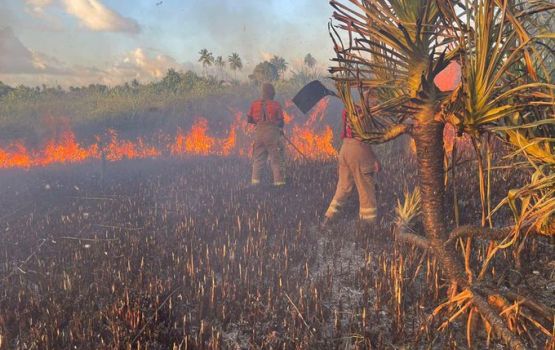 Hithadhoo SHEESHAA kurimathee oiy chasbimugai roavi alifaan nivvaalaifi