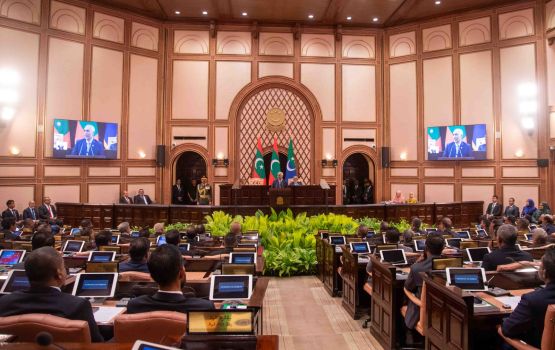 Meekail aai Ziyad ge nan ihvvaa majileehuge thalhumun nerefi 