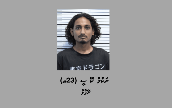 Alamaari eh vikkaa kama bune faisaa hodhi massala eh gai bidheysee aku hayyaru kohffi