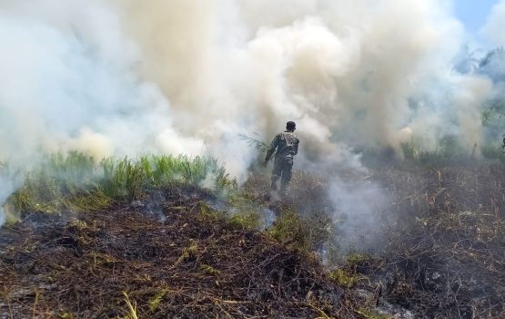 Addu kulheegai roavi alifaangandu nivvaalaifi