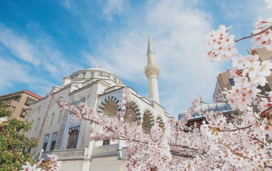 Tokyo Camii Mosque: Balaa foohi nuvaa fadha furihama reethi massaikatheh!
