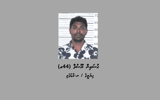 Anehkaaves tiktok gai dheenah furassaara kuraa meehaku hodhanee