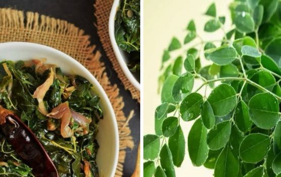 LIFESTYLE: eki maahdhaa thakun mussandhivefaivaa murangafaiyves thikanee faidhaaeh neiy gothah, visnaalamaa!