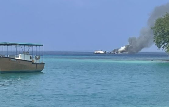 Addu citu Feydhoo kaireegai alhaafai oye Divine Dhonyeh gai rove andhanee!